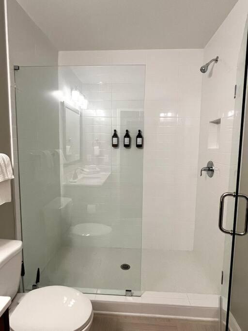 1 Bedroom Luxury Apartment *